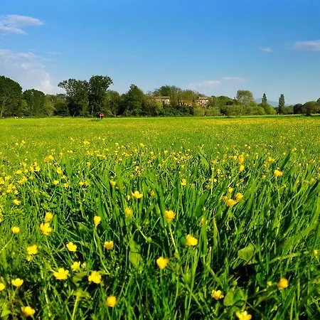 Casa Katiuscia Ferienhaus *