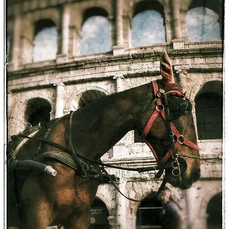 Ferienhaus Casa Katiuscia